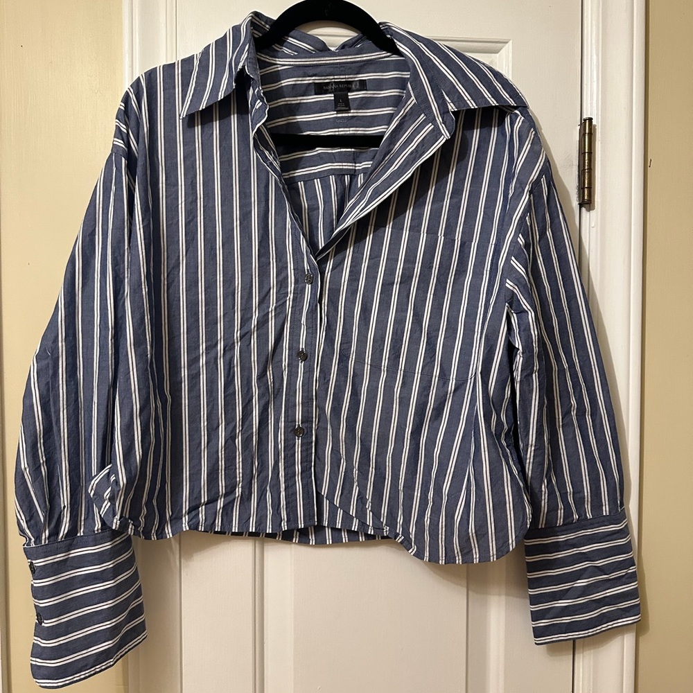 Banana Republic Blue and White Striped Button-Up Shirt